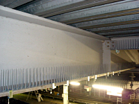 kanyaku_b_pc_05birdpro_i02.jpg